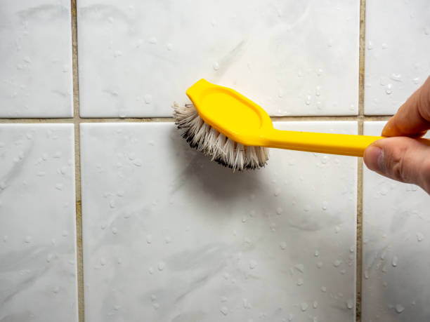 Best Affordable Mold Removal  in Coalville, UT