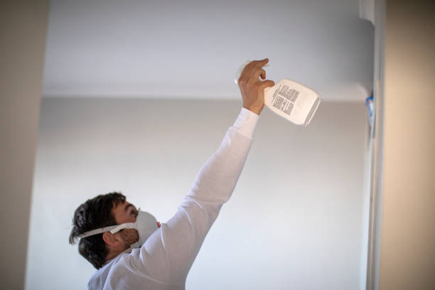 Home Mold Removal in Coalville, UT