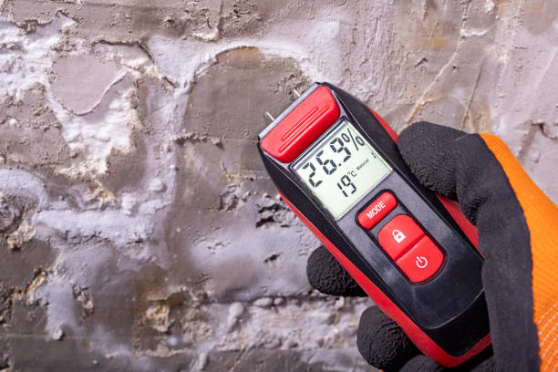 Best Commercial Mold Removal  in Coalville, UT