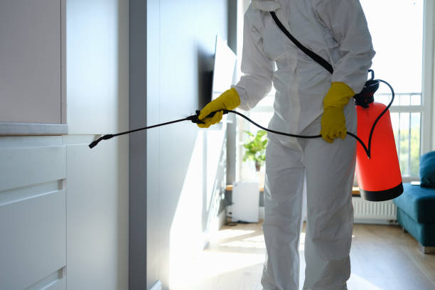 Best Commercial Mold Removal  in Coalville, UT