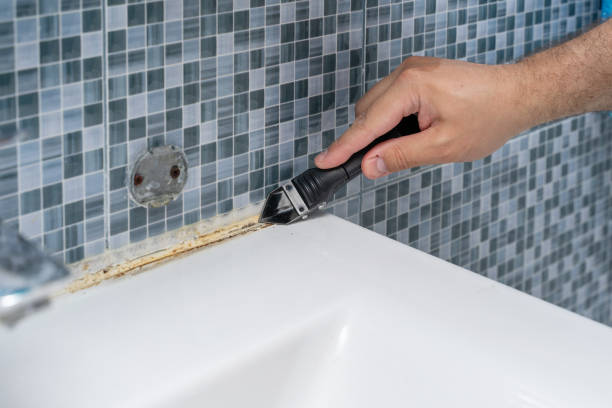 Best Emergency Mold Removal  in Coalville, UT